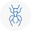 Ant Removals In Boxted