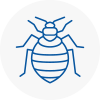 Bed Bug Extermination In Boxted