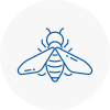 Bee Nest Removal Boxted
