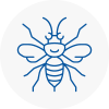 Boxted Hornet Nest Removals