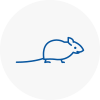 Mice Exterminators In Boxted