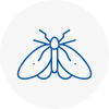 Moth Control Specialists In Boxted