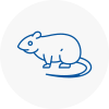 Rat Control Boxted