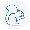 Boxted Rodent Removals